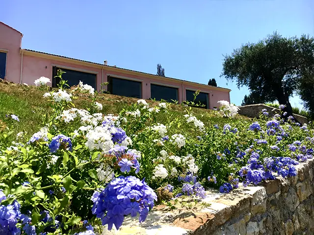 Flowers in the garden at the Courti Estate, Corfu.